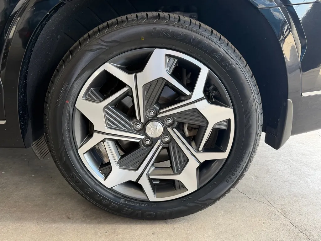 Hyundai Palisade photo 65