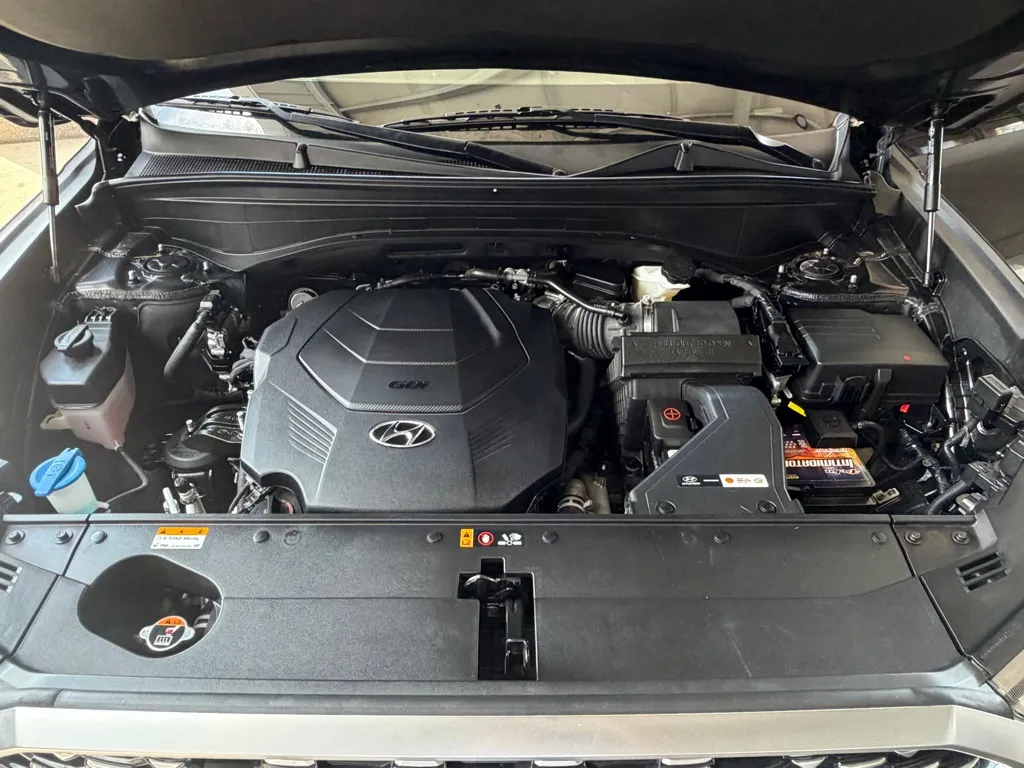 Hyundai Palisade photo 60
