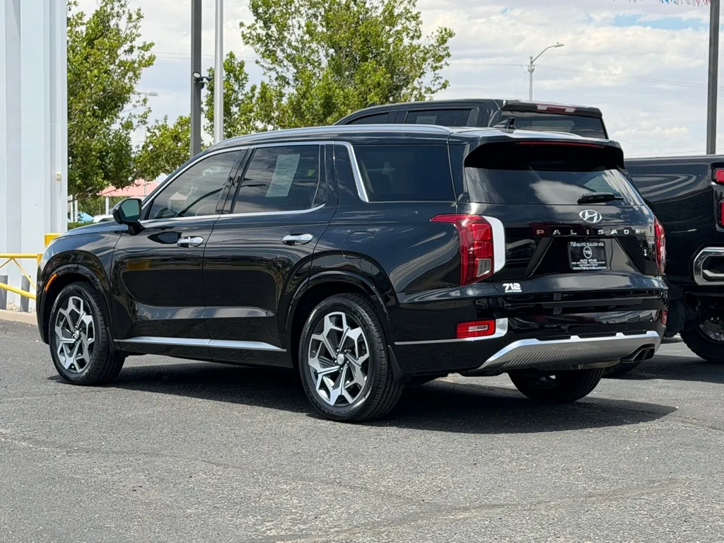 Hyundai Palisade photo 51
