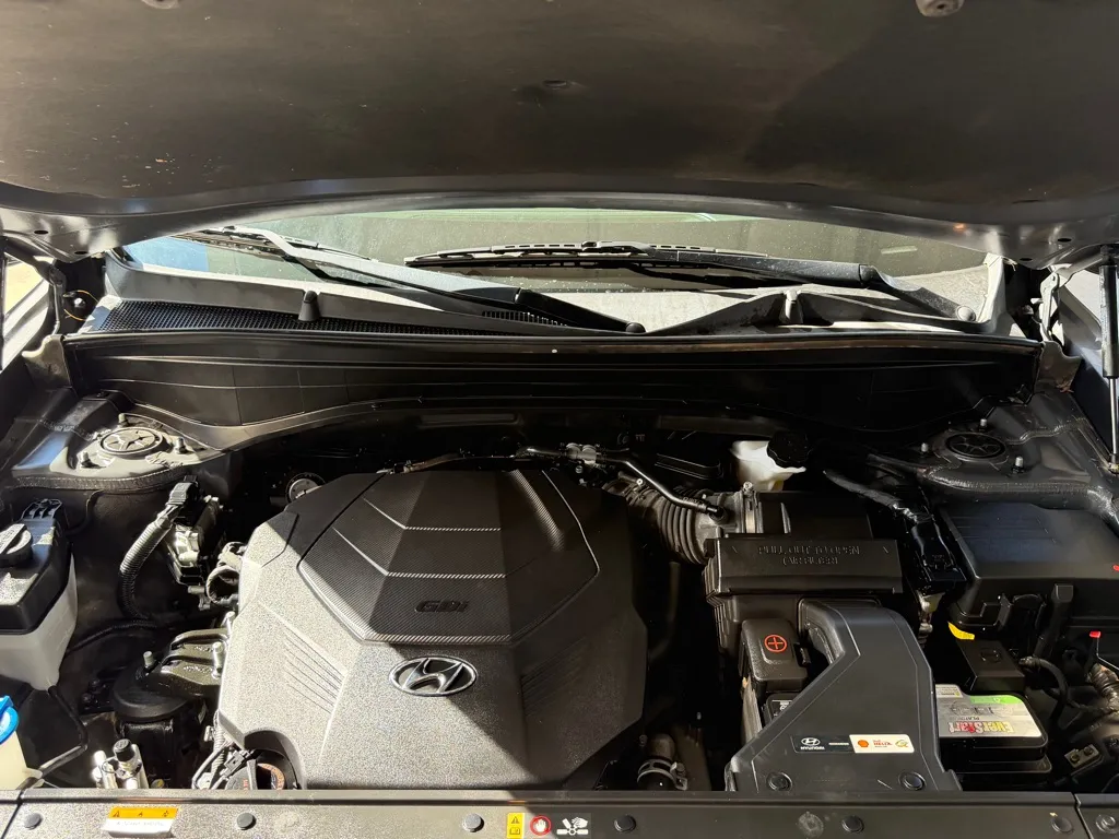 Hyundai Palisade photo 56