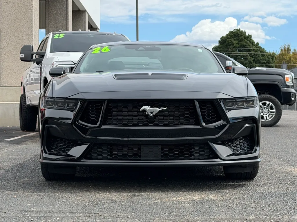 Ford Mustang photo 40