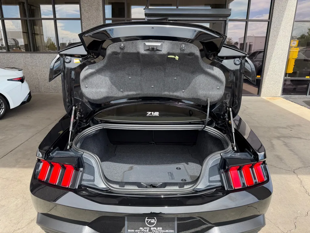 Ford Mustang photo 19