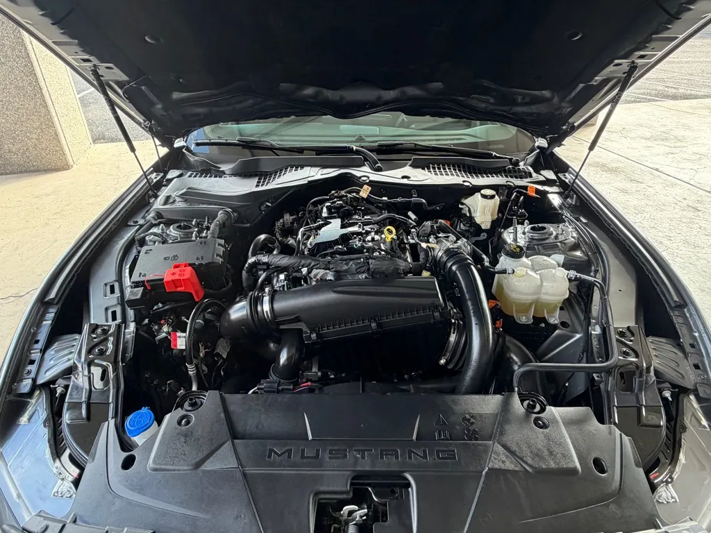 Ford Mustang photo 47