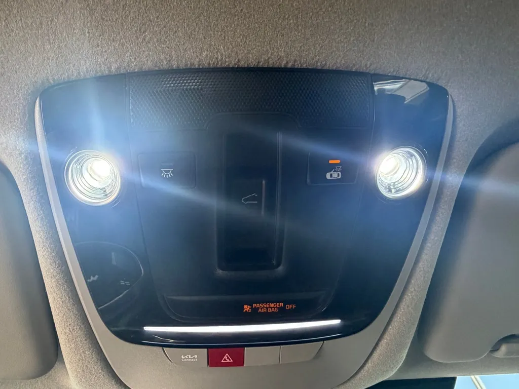 Kia Niro photo 19