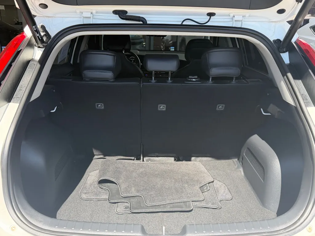 Kia Niro photo 29
