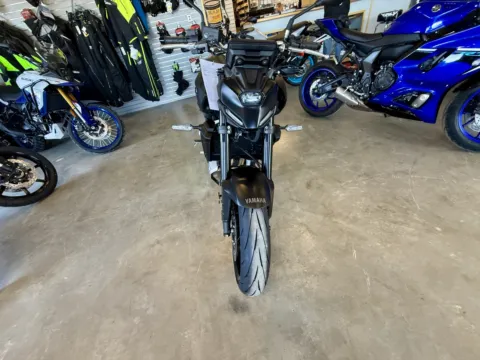 みやみや 2025 YAMAHA MT 07 for sale in Cody, WY at Mountain Valley