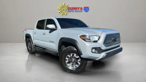 Gray 2019 Toyota Tacoma Double Cab TRD Off-Road Pickup 4D 5 ft for sale in Candler, NC