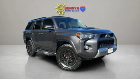 Gray 2019 Toyota 4Runner TRD Off-Road Premium Sport Utility 4D for sale in Candler, NC