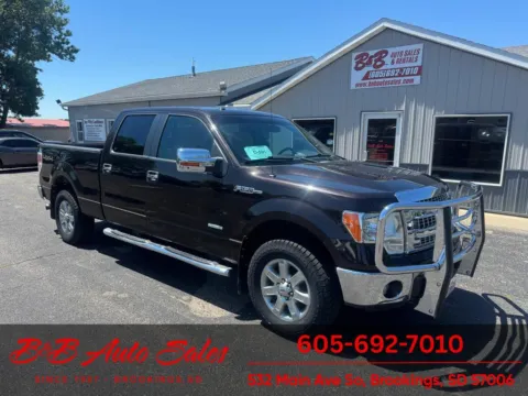 Brown 2013 Ford F-150 XLT for sale in Brookings, SD