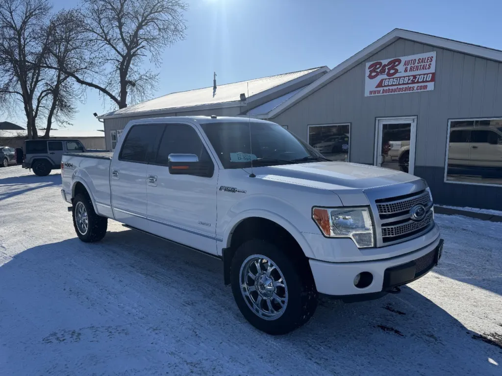 2011 Ford F-150 Platinum for sale in Brookings, SD