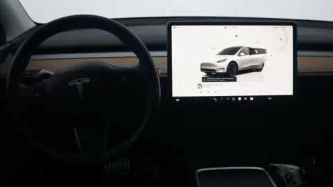 More photos of 2022 Tesla Model Y Performance at Auto City, CA