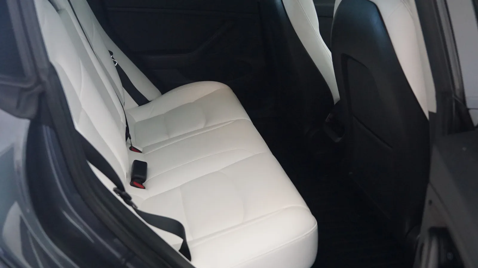 Tesla Model 3 photo 11