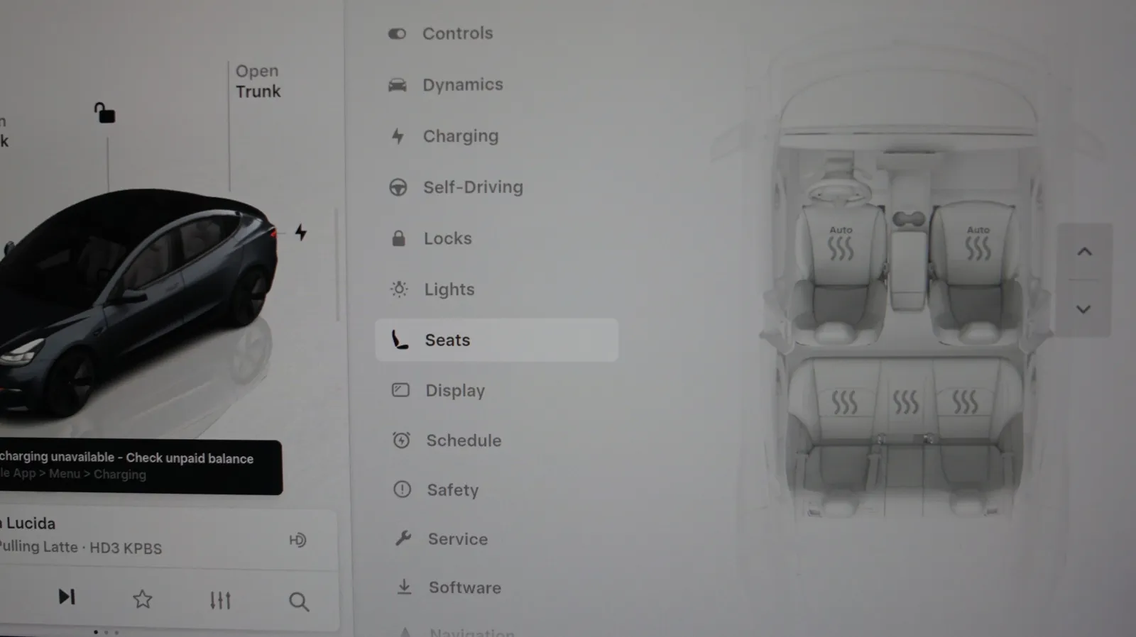 Tesla Model 3 photo 19