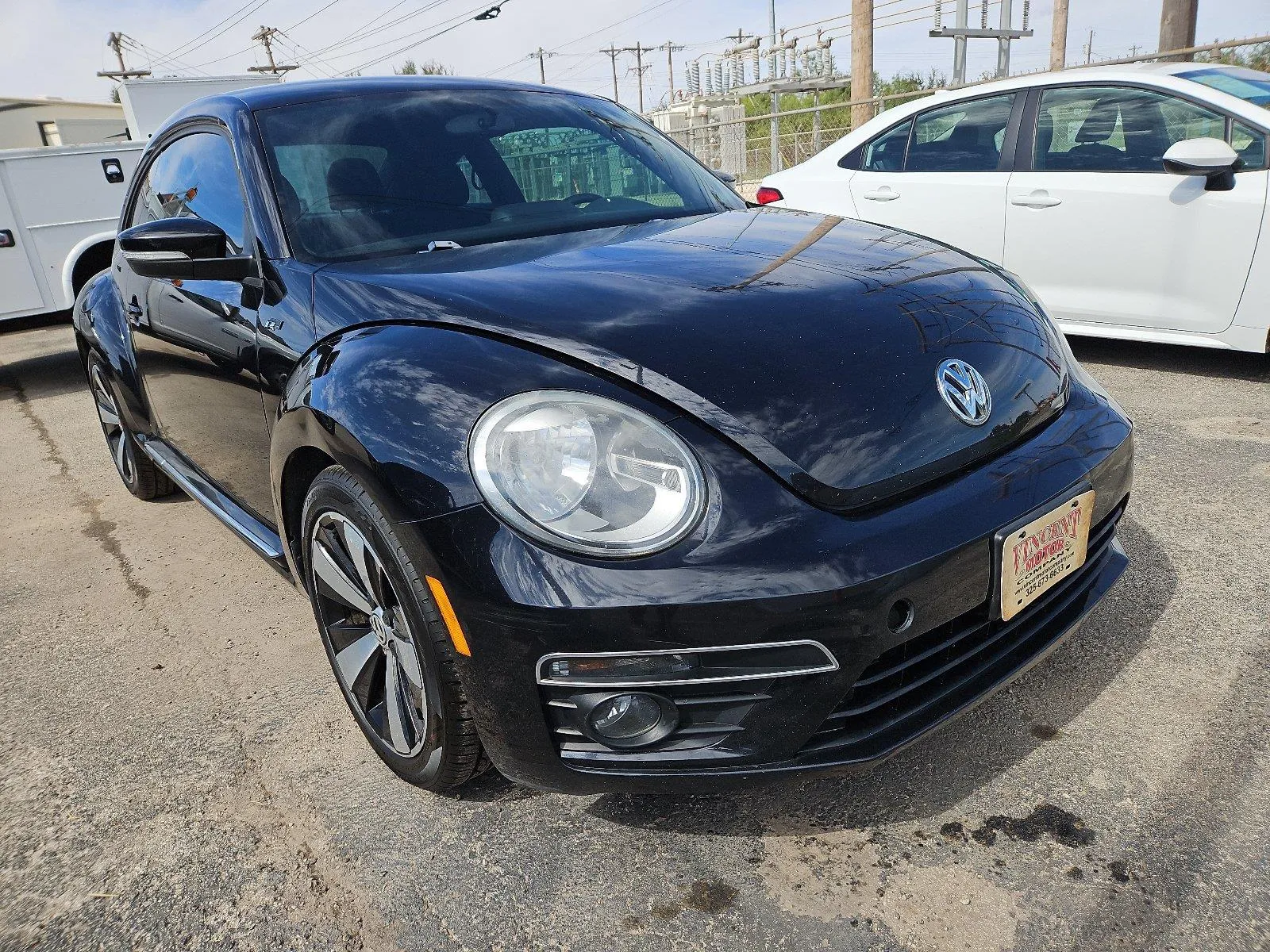 Volkswagen Beetle photo 11