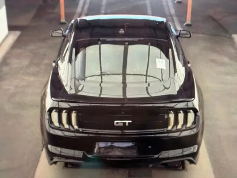Another view of 2019 Ford Mustang GT for sale in Knoxville, TN at Cars 4 U LLC