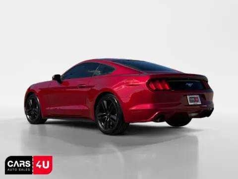 More photos of 2017 Ford Mustang EcoBoost at Cars 4 U LLC, TN
