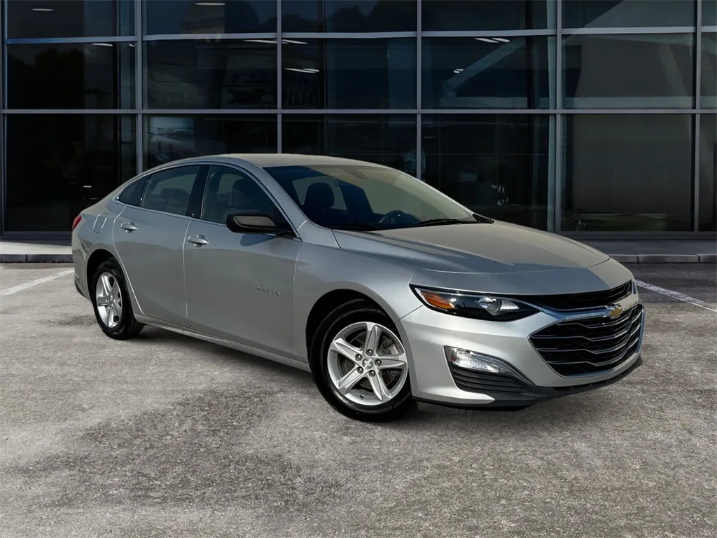 Silver 2020 Chevrolet Malibu LS for sale in Knoxville, TN