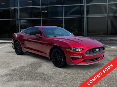 Red 2019 Ford Mustang EcoBoost Premium for sale in Knoxville, TN