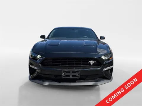 Photos of 2019 Ford Mustang GT Premium for sale in Knoxville, TN at Cars 4 U LLC