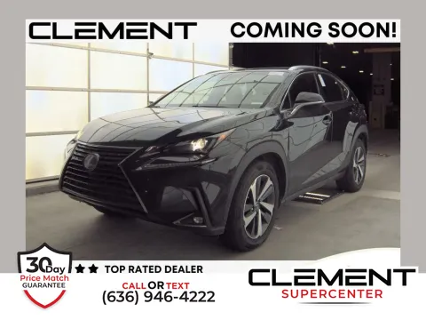 Black 2019 Lexus NX 300 Base for sale in Saint Charles, MO