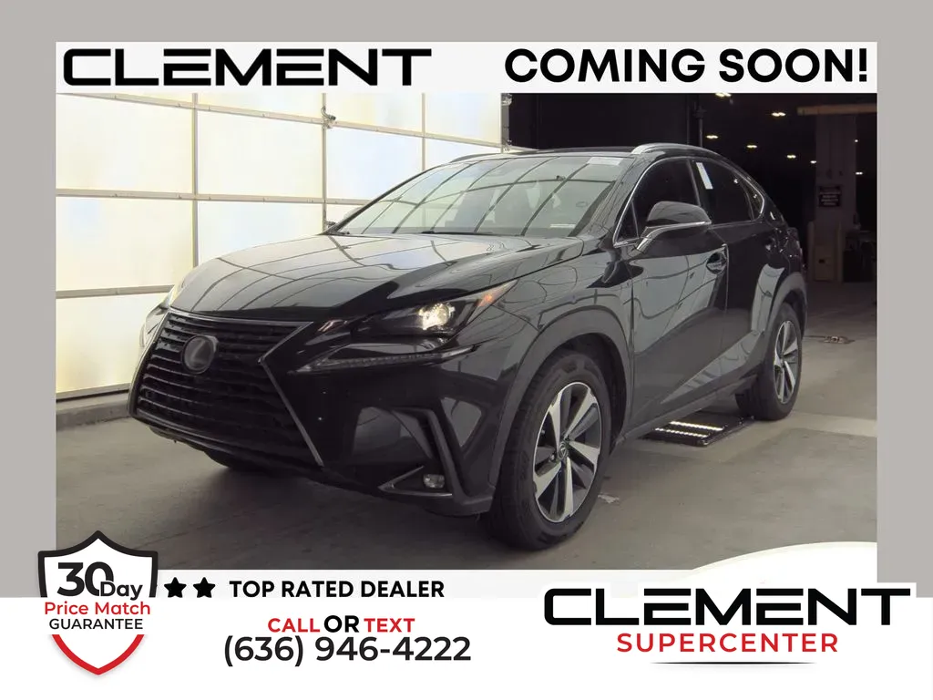Black 2019 Lexus NX 300 Base for sale in Saint Charles, MO