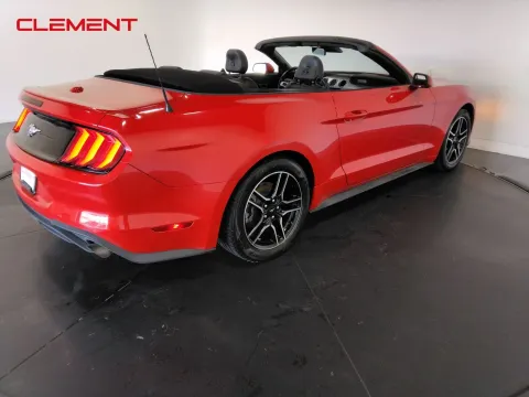 More photos of 2023 Ford Mustang EcoBoost at Clement Pre-Owned, MO