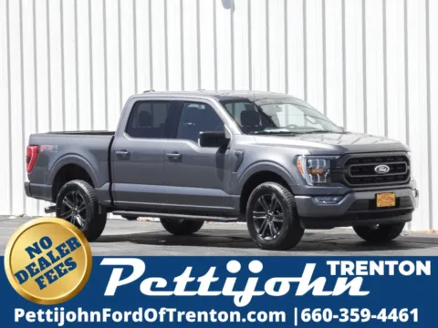 Gray 2021 Ford F-150 XLT for sale in Trenton, MO