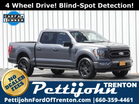 Gray 2021 Ford F-150 XLT for sale in Trenton, MO