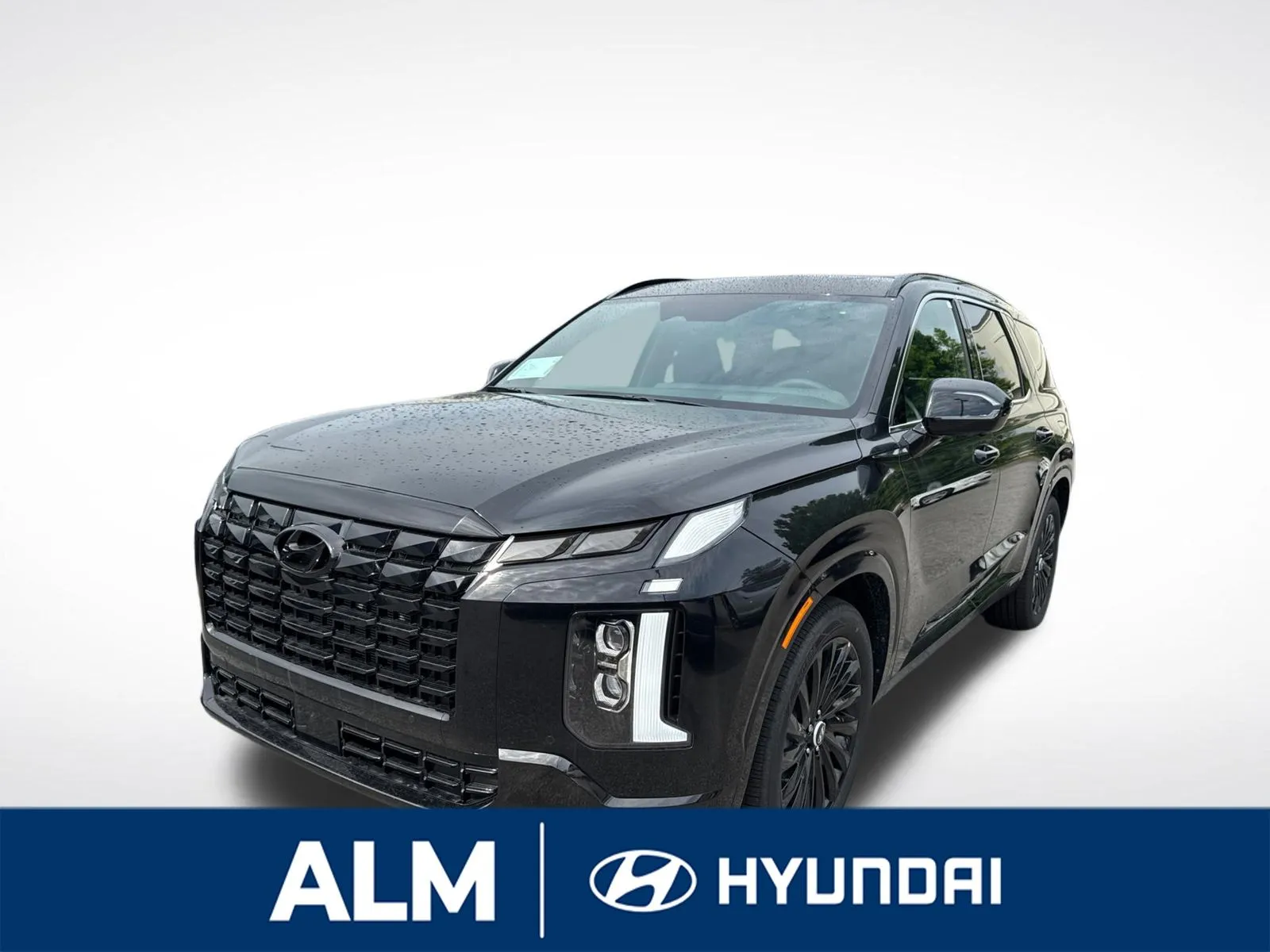 Black 2025 Hyundai Palisade Calligraphy Night Edition for sale in Lumberton, NC