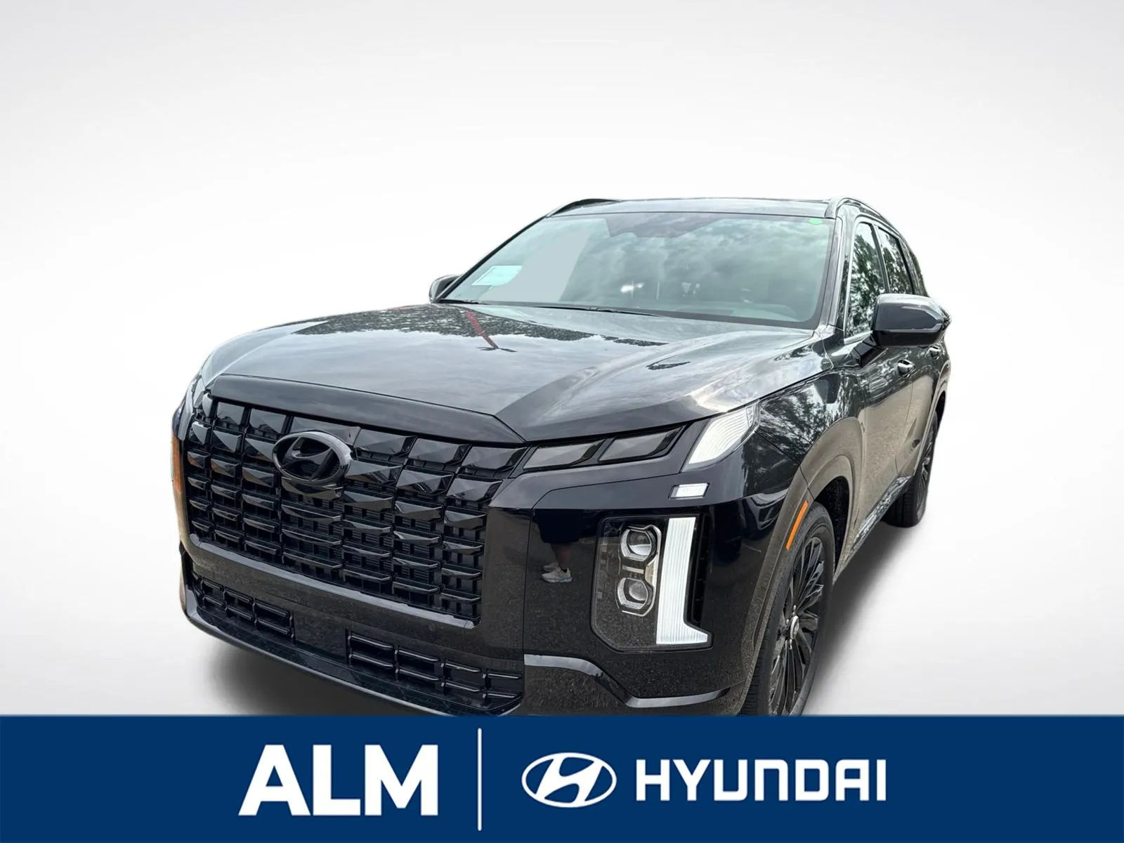 Black 2025 Hyundai Palisade Calligraphy Night Edition for sale in Lumberton, NC