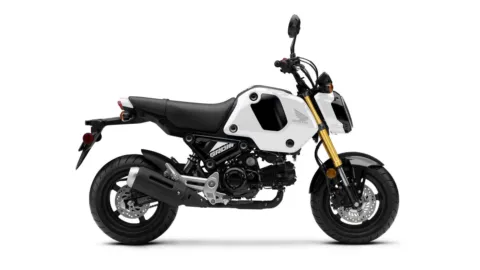 Blue 2026 HONDA Grom ABS for sale in Brownsville, TX