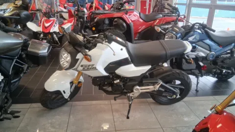 White 2025 HONDA Grom ABS for sale in Brownsville, TX