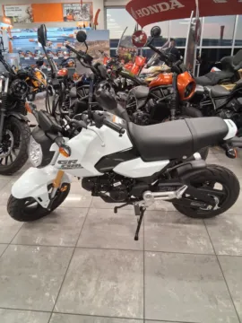 Photos of 2025 HONDA Grom ABS for sale in Brownsville, TX at Tipton Motorsports