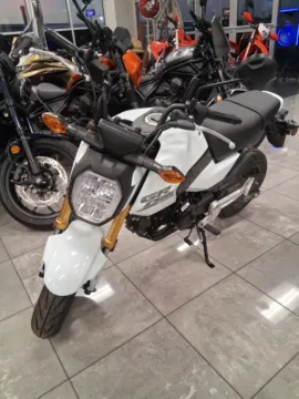 More photos of 2025 Honda Grom ABS at Tipton Motorsports, TX