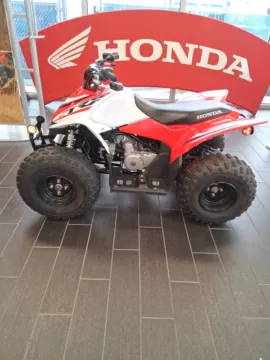 Blue 2023 Honda TRX 90X for sale in Brownsville, TX