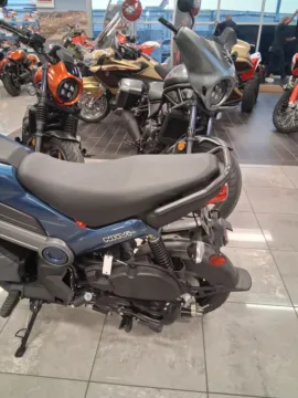 Another view of 2024 Honda Navi for sale in Brownsville, TX at Tipton Motorsports
