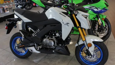White 2026 Kawasaki Z125 PRO for sale in Brownsville, TX