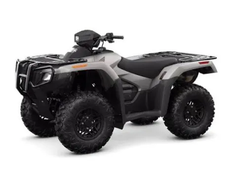 Silver 2026 Honda FourTrax Rubicon 700 4x4 Automatic for sale in Brownsville, TX