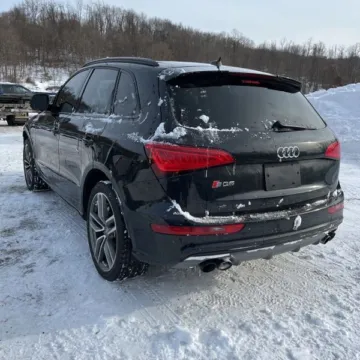 More photos of 2015 Audi SQ5 3.0T Premium Plus at 101 Motors, NJ