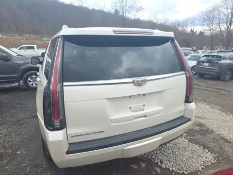 More photos of 2015 Cadillac Escalade Platinum at 101 Motors, NJ