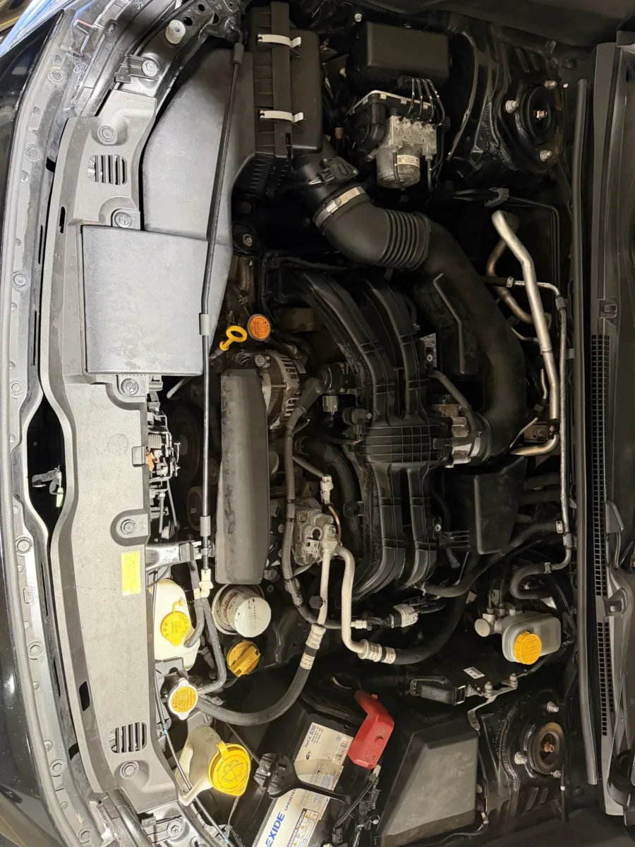 Subaru Crosstrek photo 19