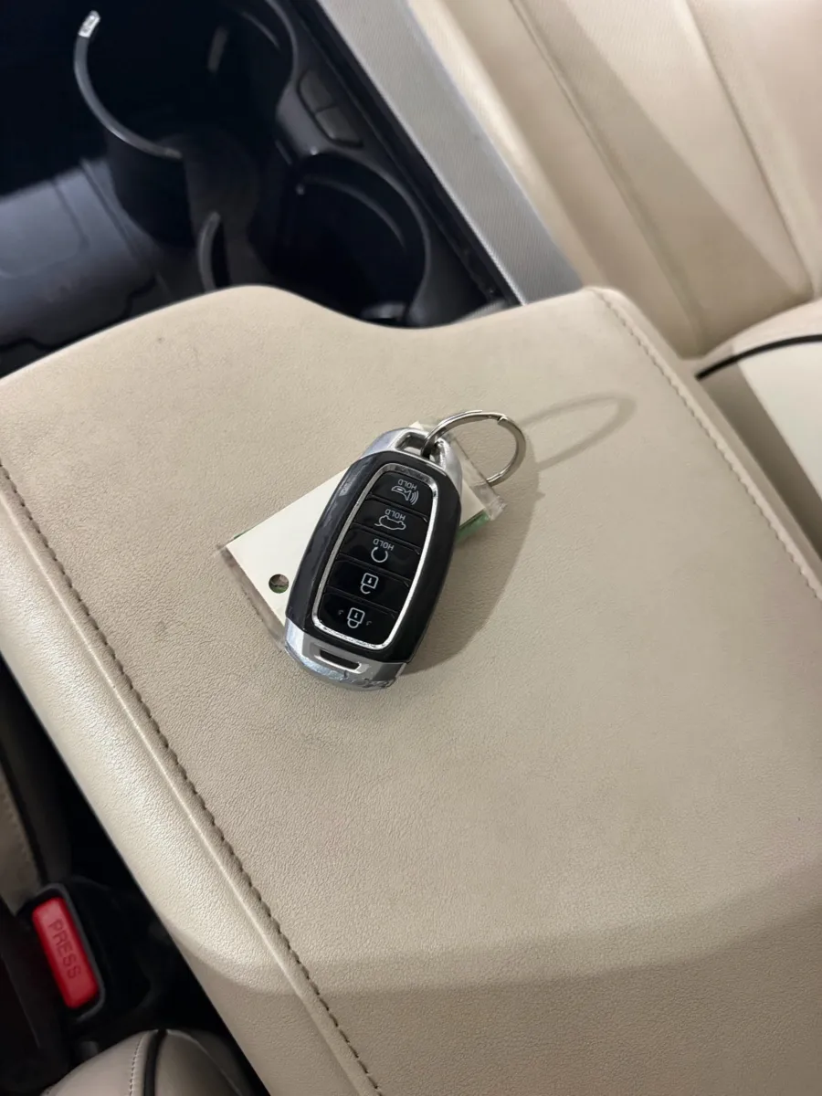 Hyundai Palisade photo 23