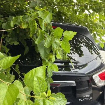 More photos of 2014 Nissan Pathfinder Platinum at 101 Motors, NJ
