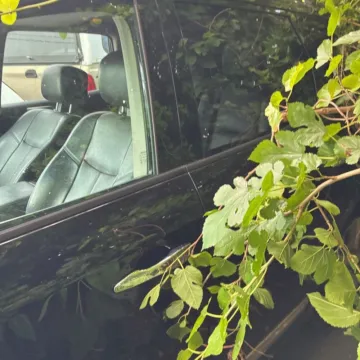Another view of 2014 Nissan Pathfinder Platinum for sale in Carlstadt, NJ at 101 Motors