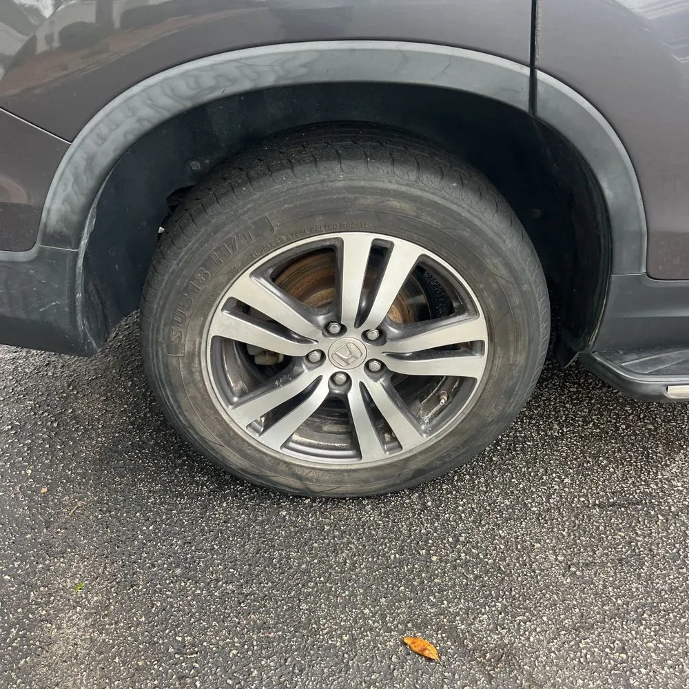 Photo 19