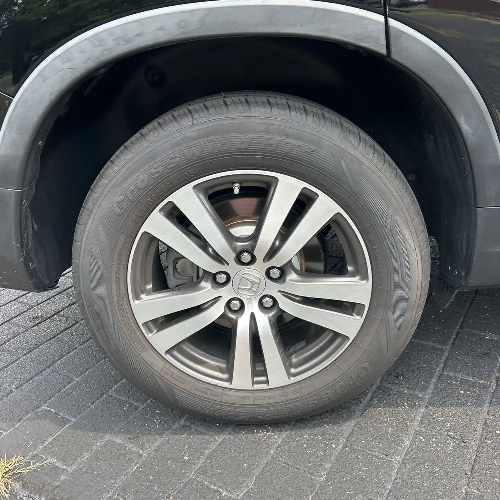 Photo 19