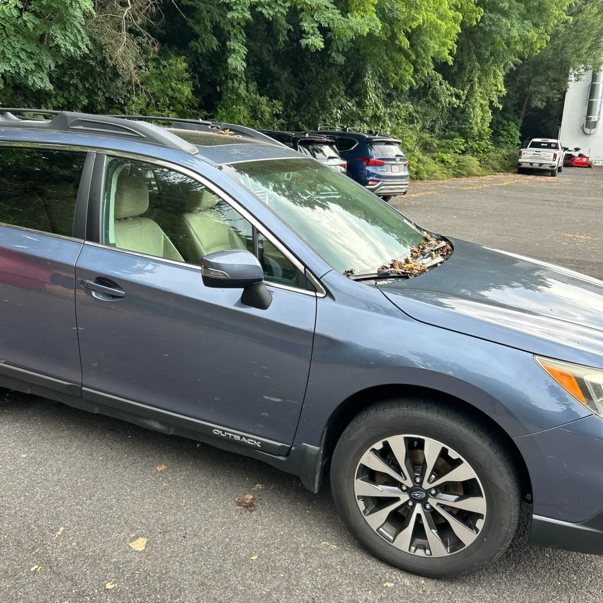 Subaru Outback photo 13