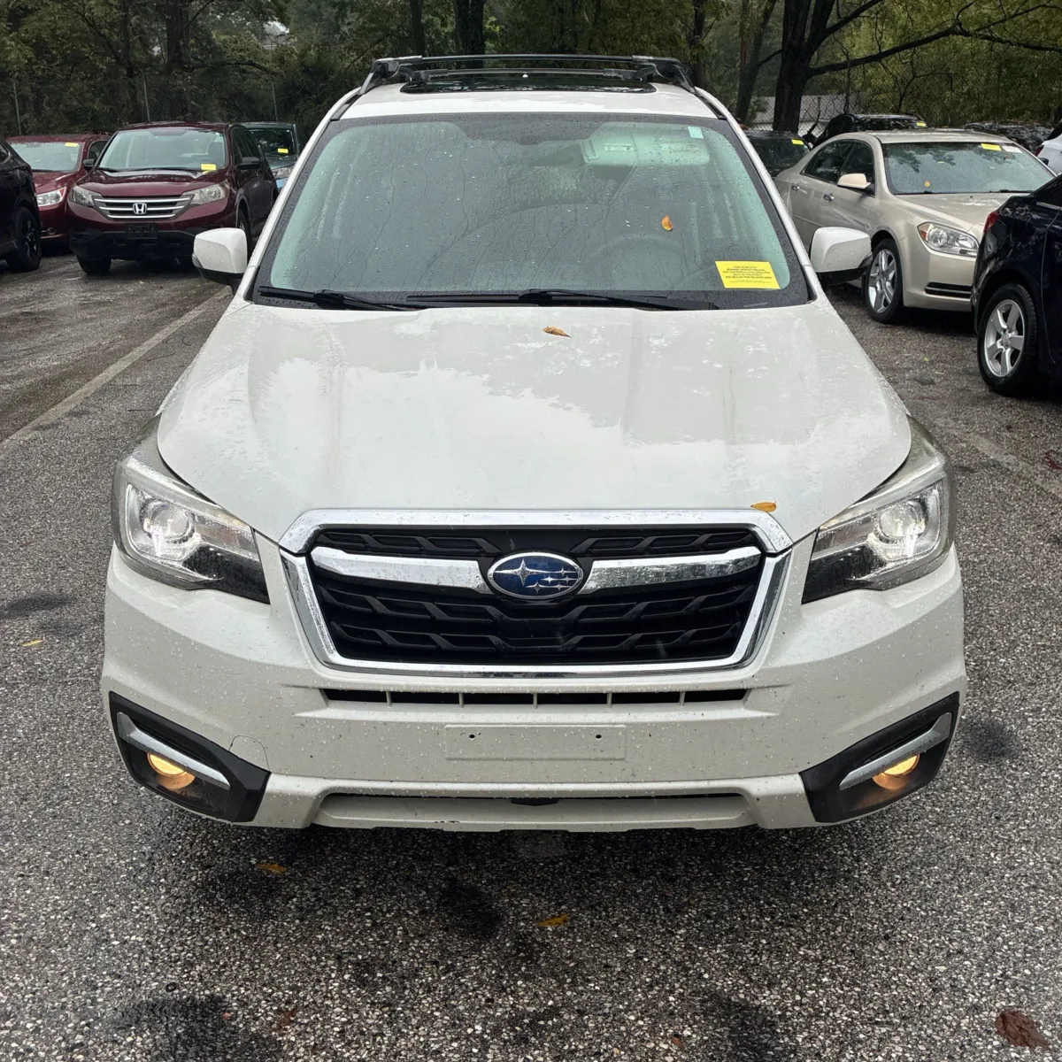Subaru Forester photo 12