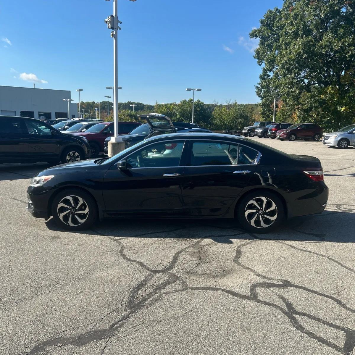 Honda Accord photo 3