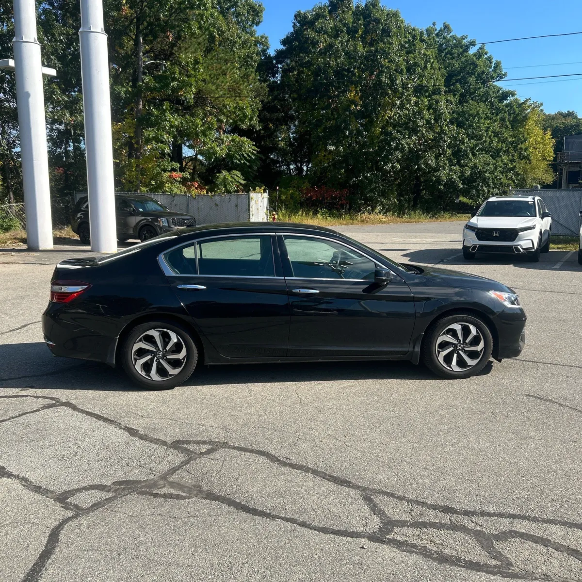 Honda Accord photo 10